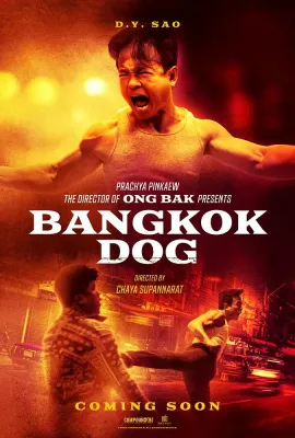 曼谷斗犬/Bangkok Dog