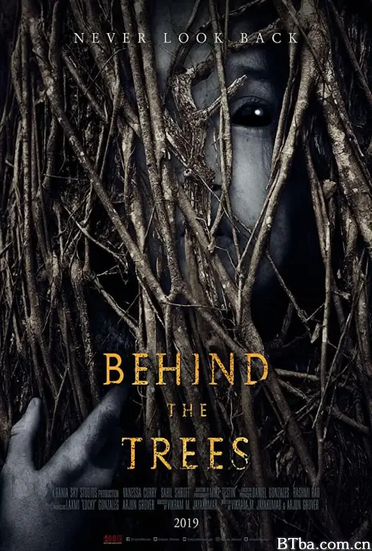 森林深处/Behind the Trees