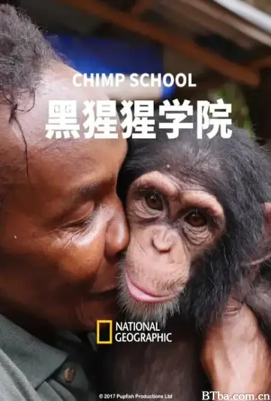 黑猩猩学院/Chimp School