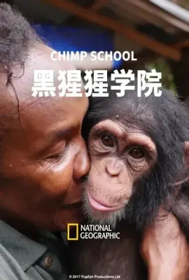 黑猩猩学院/Chimp School