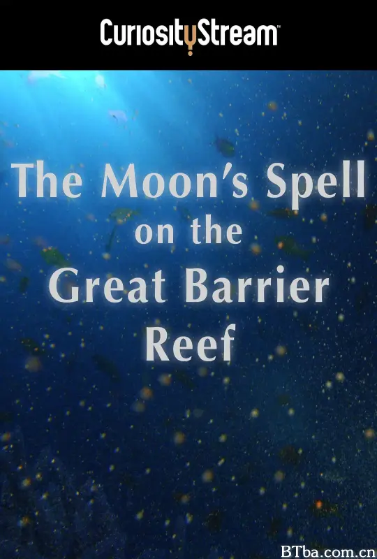 大堡礁上的月亮魔咒/The Moon's Spell On The Great Barrier Reef