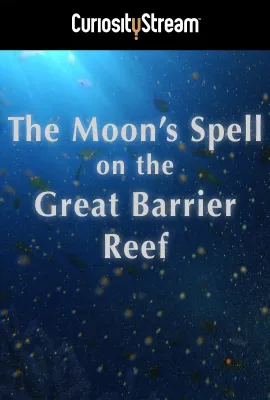 大堡礁上的月亮魔咒/The Moon's Spell On The Great Barrier Reef