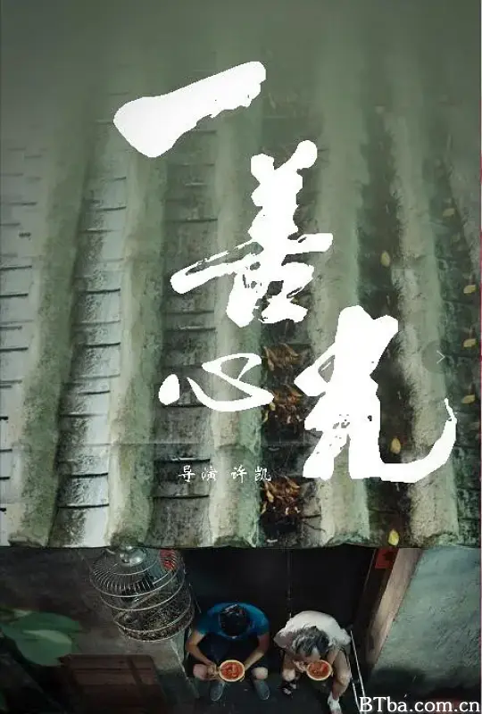 一善心光