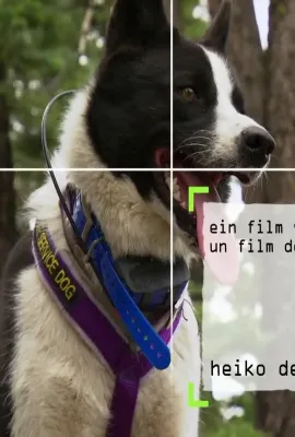 内华达搜熊犬/The Bear Hunting Dogs of Nevada