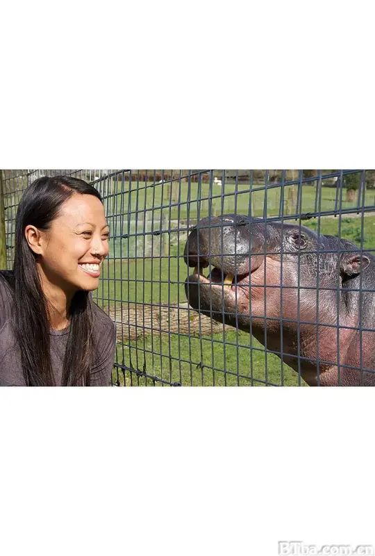 倭河马的秘密生活/The Pygmy Hippo - A Very Secret Life