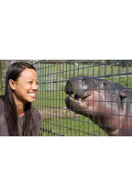 倭河马的秘密生活/The Pygmy Hippo - A Very Secret Life