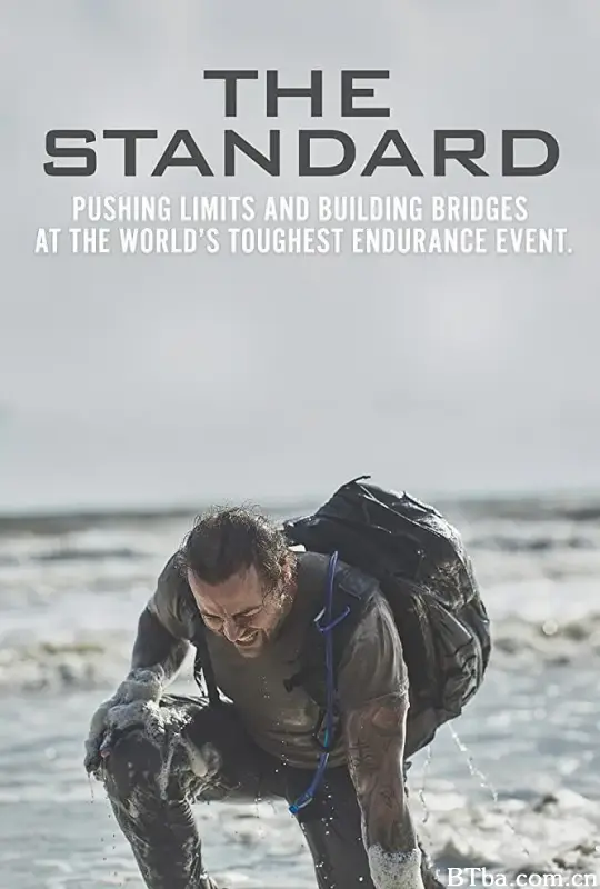 标准/The Standard