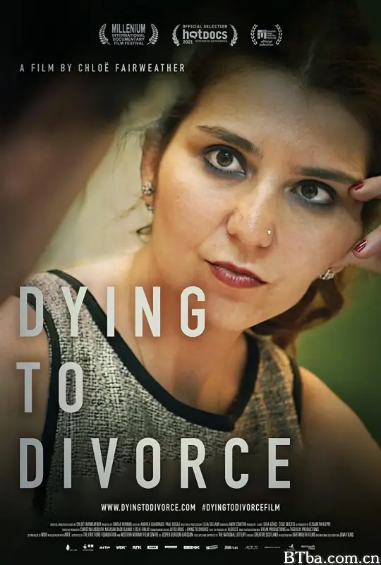 我要离婚/Dying to Divorce