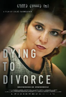 我要离婚/Dying to Divorce