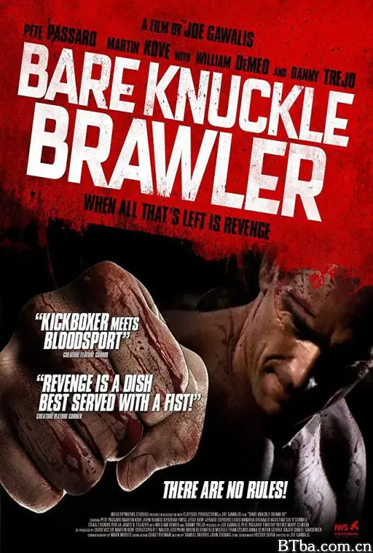 赤膊上阵/Bare Knuckle Brawler