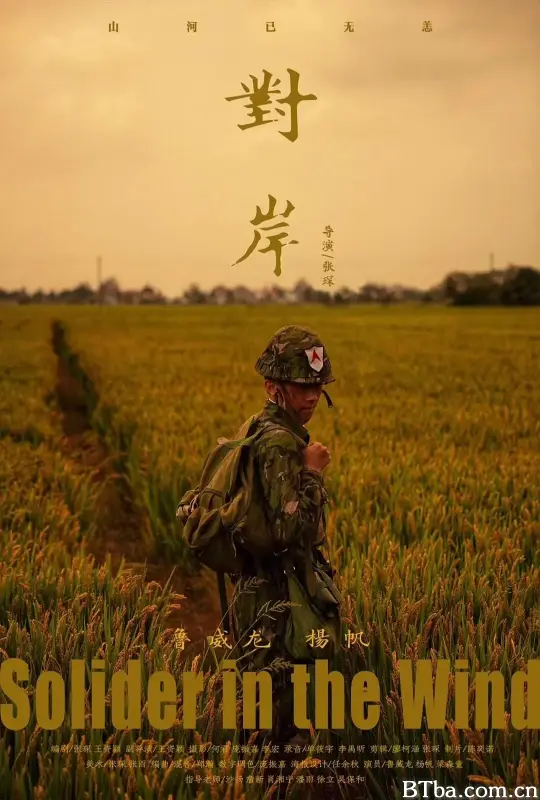 对岸