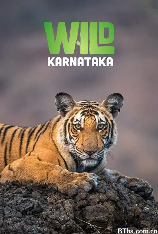 野性印度卡纳塔克邦/Wild Karnataka