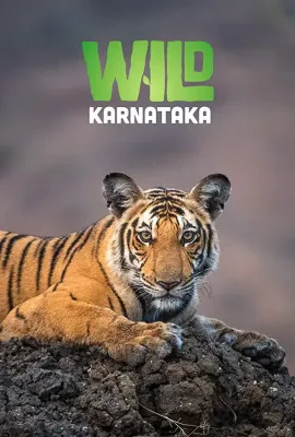 野性印度卡纳塔克邦/Wild Karnataka