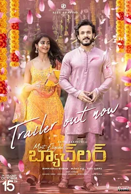黄金单身汉/మోస్ట్ ఎలిజిబుల్ బ్యాచ్ లర్
