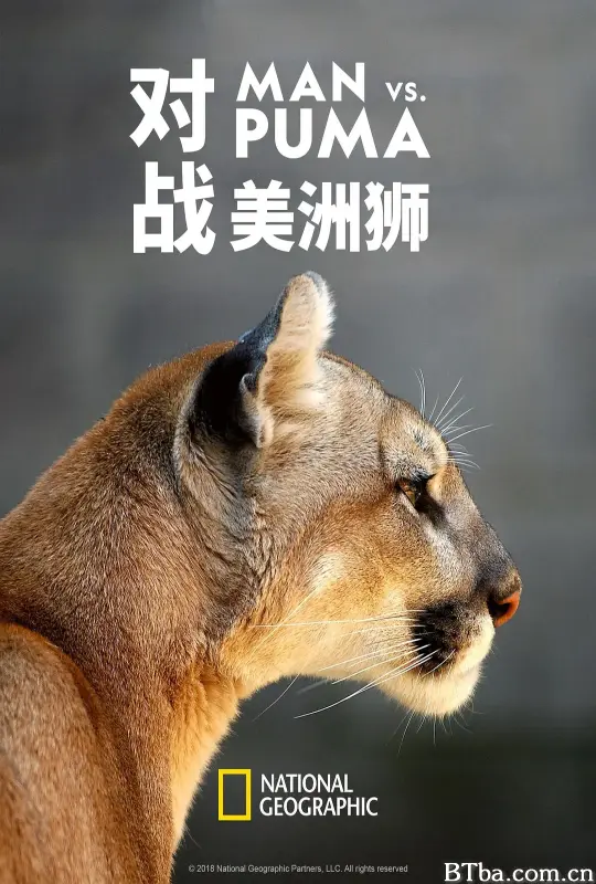 对战美洲狮 Man vs. Puma (2018) 1080P/WEB-DL BT磁力 迅雷网盘下载