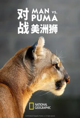 对战美洲狮/Man vs. Puma
