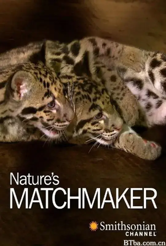 自然界的媒人/Nature's Matchmaker