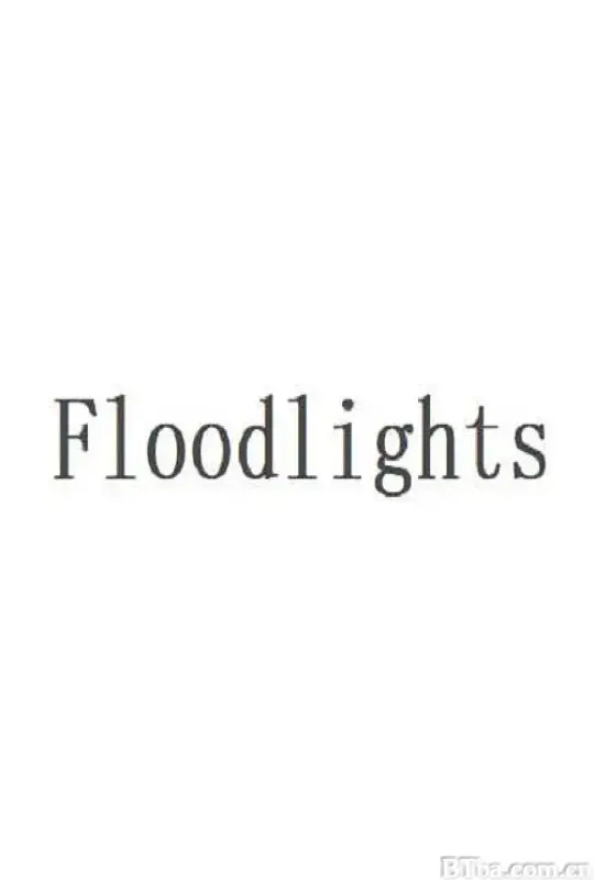 泛光灯/Floodlights
