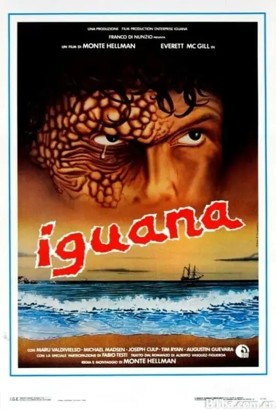 鬣蜥/Iguana