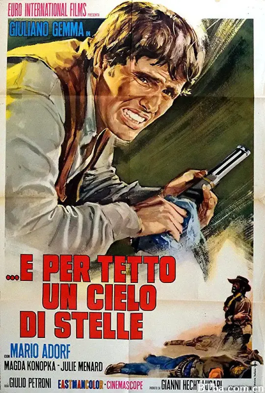 屋顶满天星/E per tetto un cielo di stelle