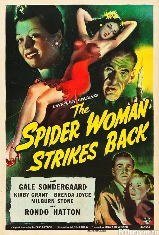 蜘蛛女/The Spider Woman Strikes Back