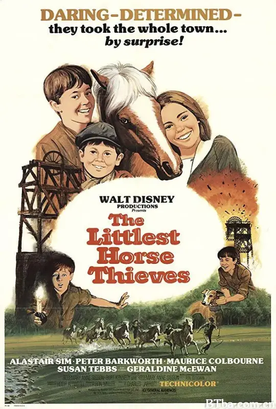 逃离黑暗/The Littlest Horse Thieves