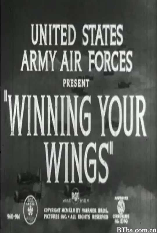 赢得你的双翼/Winning Your Wings