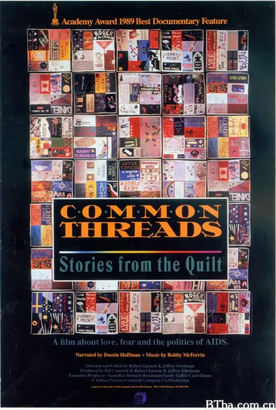 共同的线索/Common Threads: Stories from the Quilt