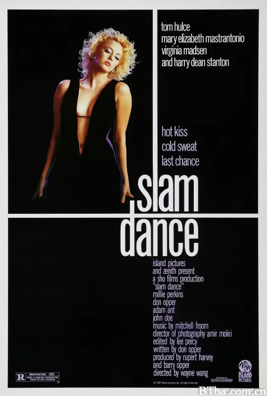 荡舞/Slam Dance