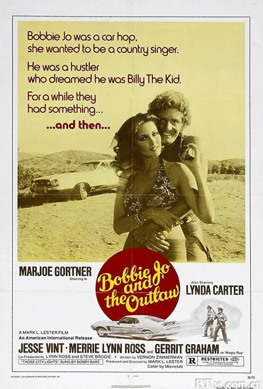 雌雄杀手/Bobbie Jo and the Outlaw