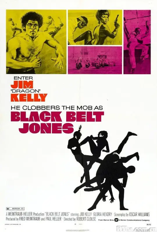 黑带猛龙勇娇娃/Black Belt Jones