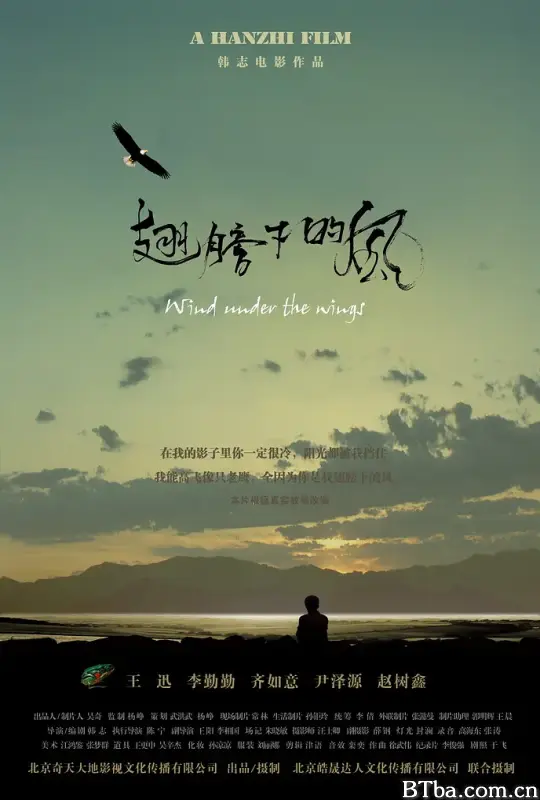 翅膀下的风