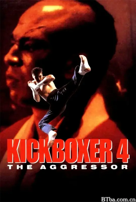 搏击之王4：入侵者/Kickboxer 4: The Aggressor