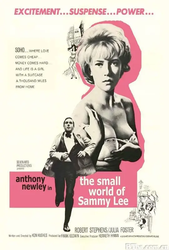 黑社会小流氓/The Small World Of Sammy Lee