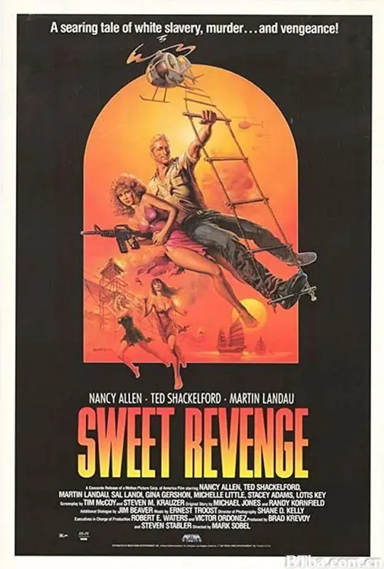 超级奇兵/Sweet Revenge