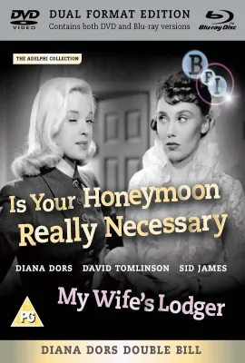 我妻子的房客/My Wife's Lodger