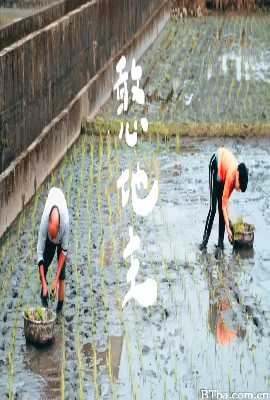 憨地主