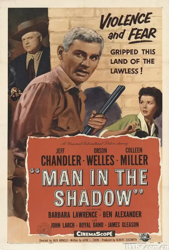 义警歼霸记/Man in the Shadow