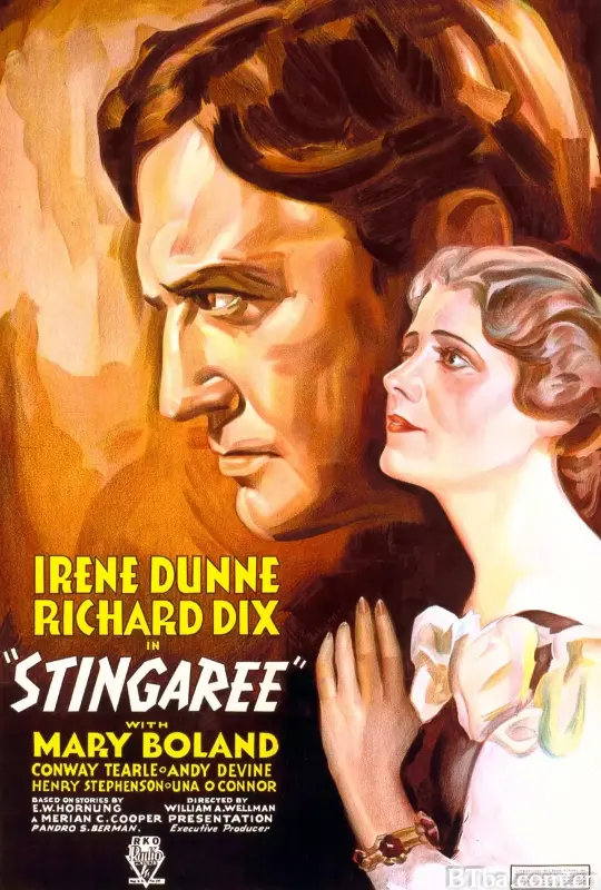 黄貂大盗/Stingaree