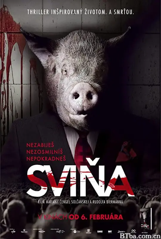 记者之死/Sviňa