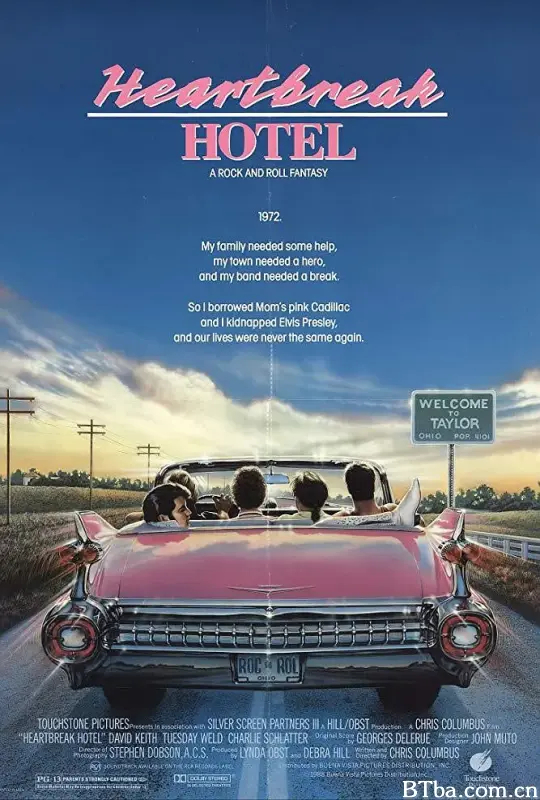 绑架猫王/Heartbreak Hotel