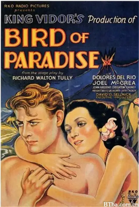 蛮女天堂/Bird of Paradise