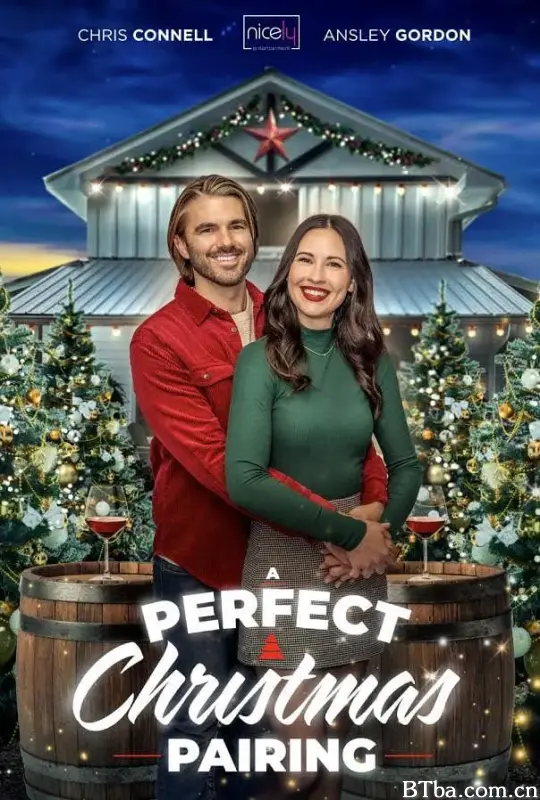 完美的圣诞搭配/A Perfect Christmas Pairing