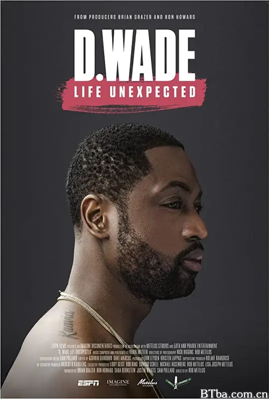 不期而遇/D. Wade: Life Unexpected