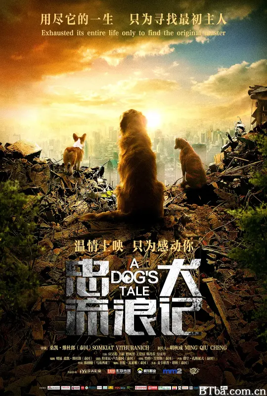 忠犬流浪记