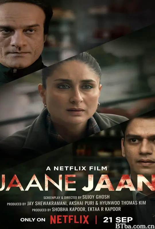 嫌疑犯X的献身/Jaane Jaan