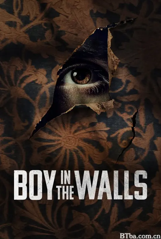 墙里的男孩/Boy in the Walls