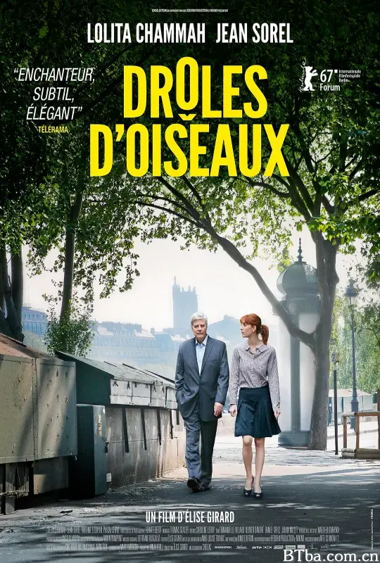 怪趣群鸟/Drôles d'oiseaux