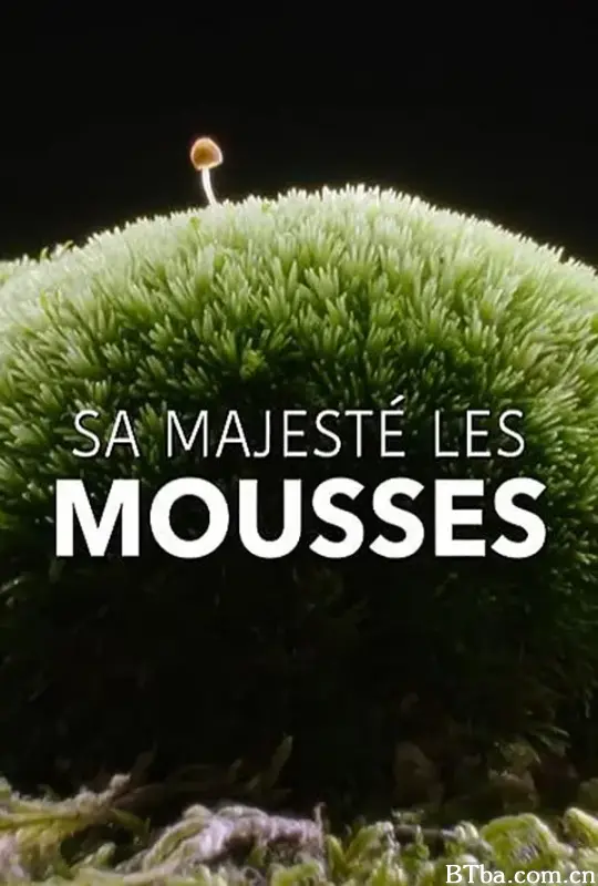 奇妙的苔藓世界/Sa Majesté les mousses