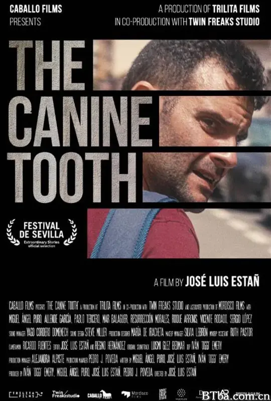 犬牙交错/A diente de perro